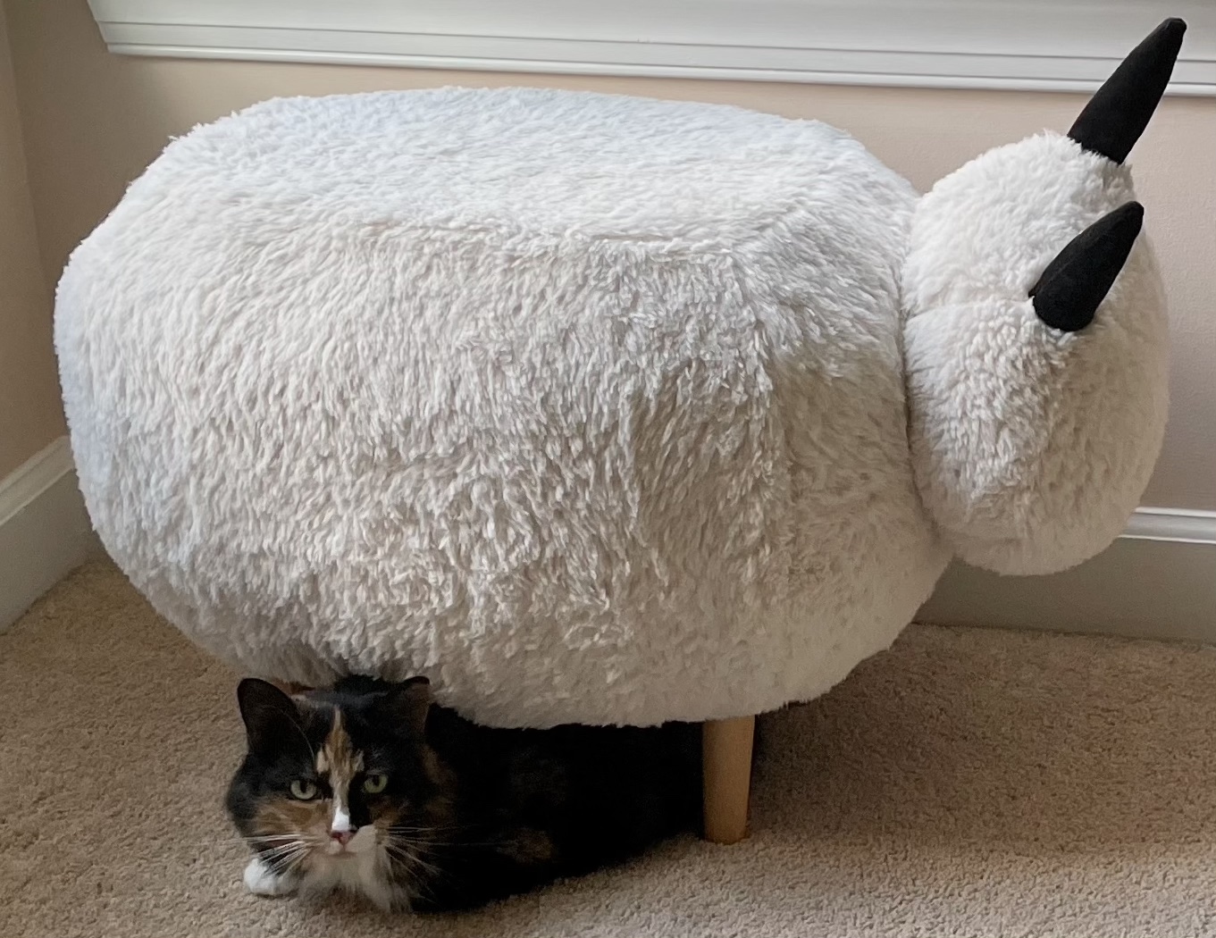 https://www.askamanager.org/wp-content/uploads/2021/10/Olive-and-sheep.jpg